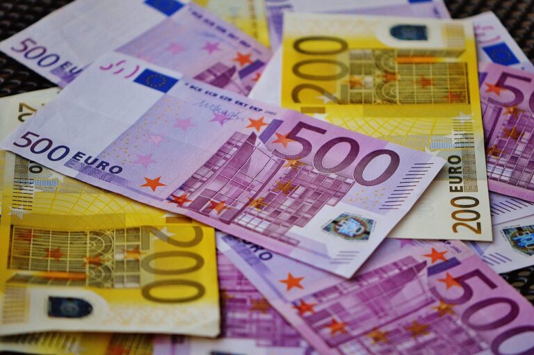 zarobki w euro przy działalności gospodarczej